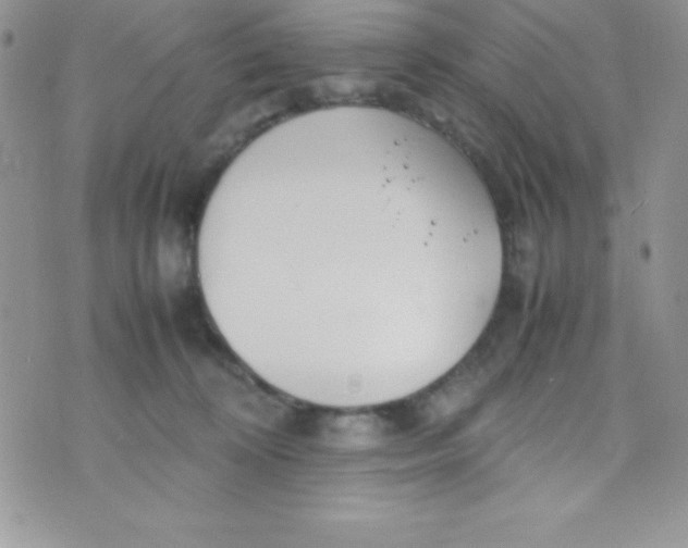 X0000074310324200609152013