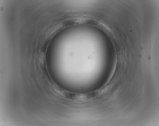 X0000074310325200609152013