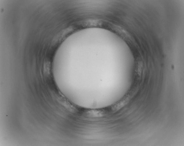 X0000074310326200609152013