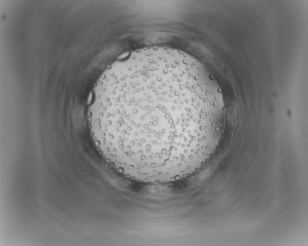 X0000074310327200609152013