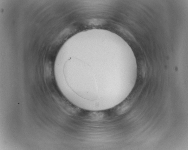 X0000074310328200609152013