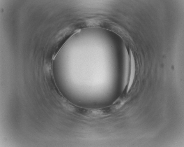 X0000074310329200609152013