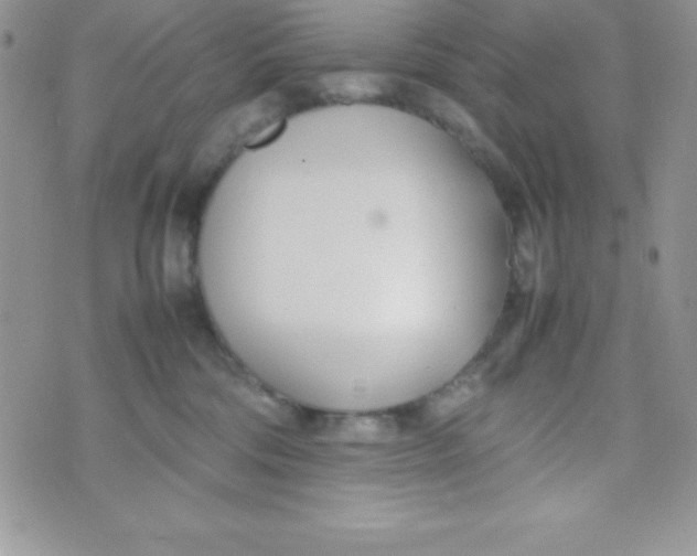 X0000074310330200609152013