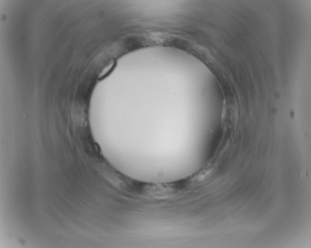 X0000074310331200609152013