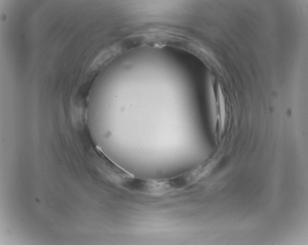 X0000074310333200609152013