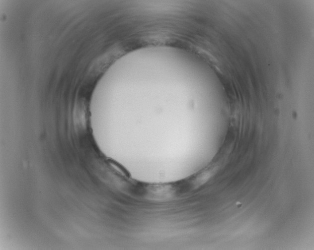 X0000074310334200609152013