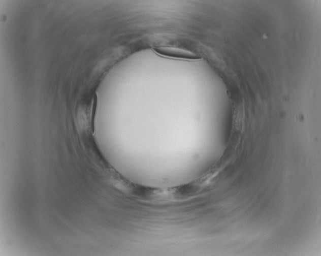 X0000074310335200609152013