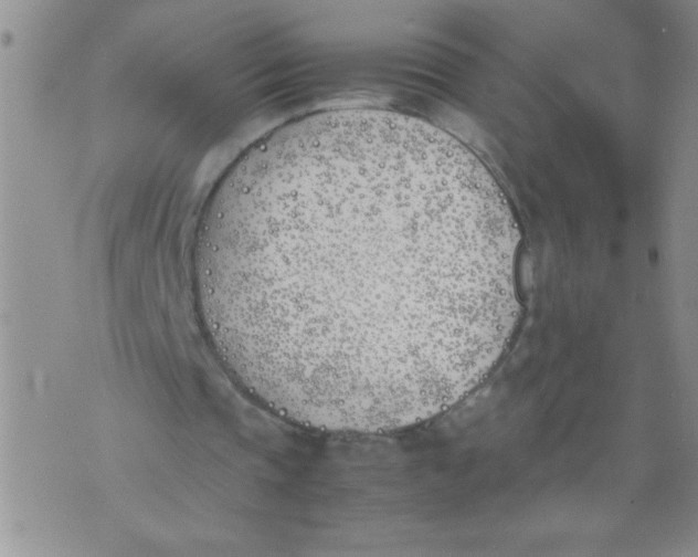 X0000074310337200609152012