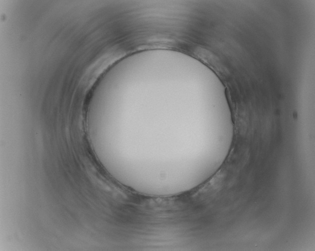 X0000074310338200609152012