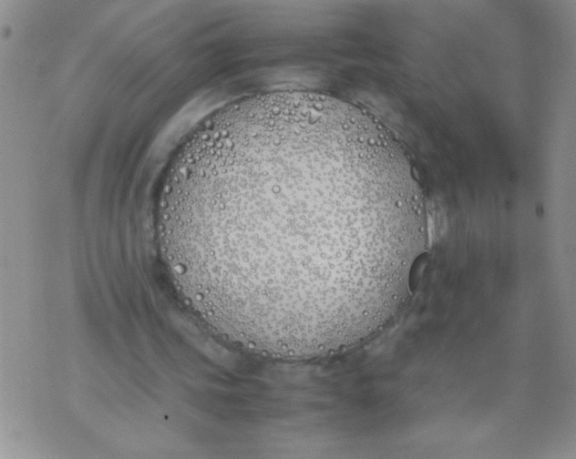 X0000074310339200609152012