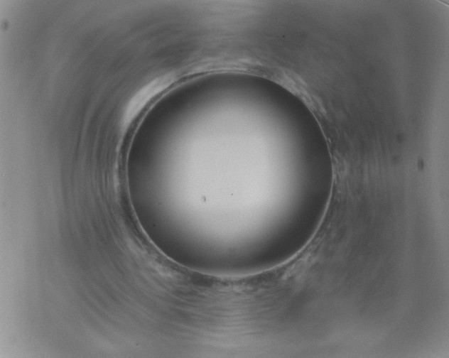 X0000074310340200609152012