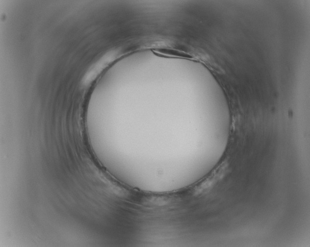 X0000074310341200609152012