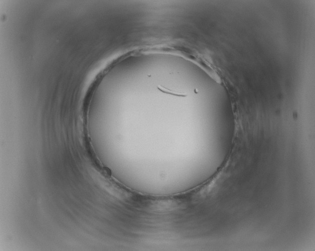 X0000074310342200609152012