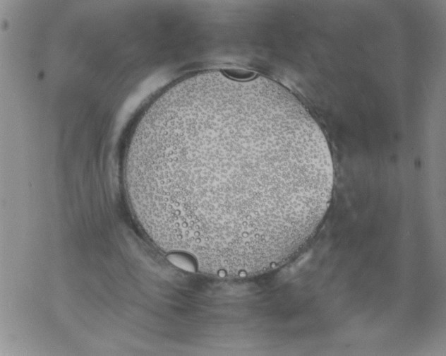 X0000074310343200609152012