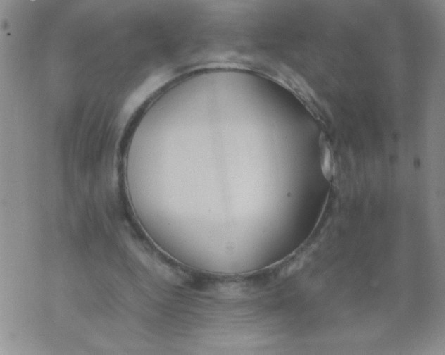 X0000074310344200609152012