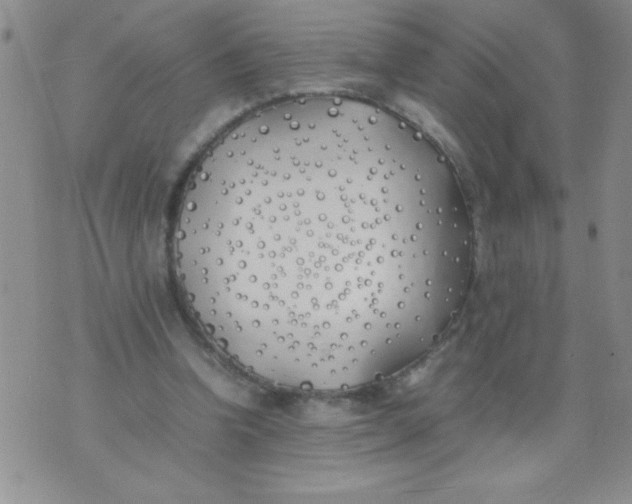 X0000074310346200609152012