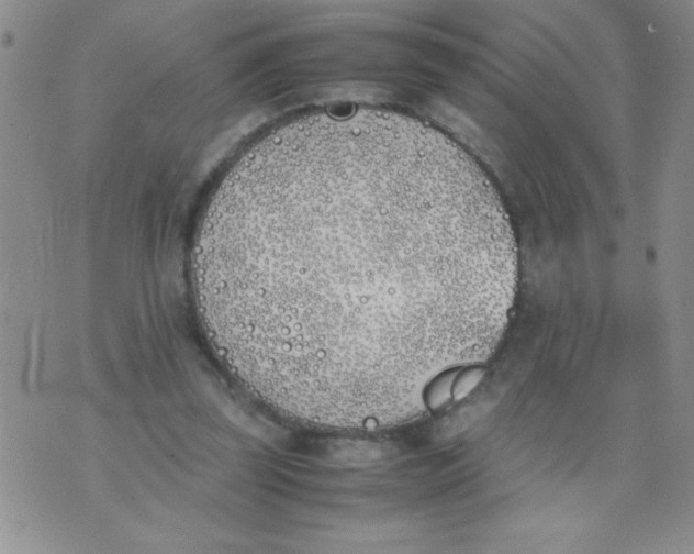 X0000074310347200609152012