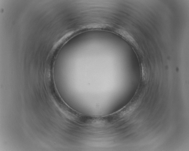 X0000074310348200609152012