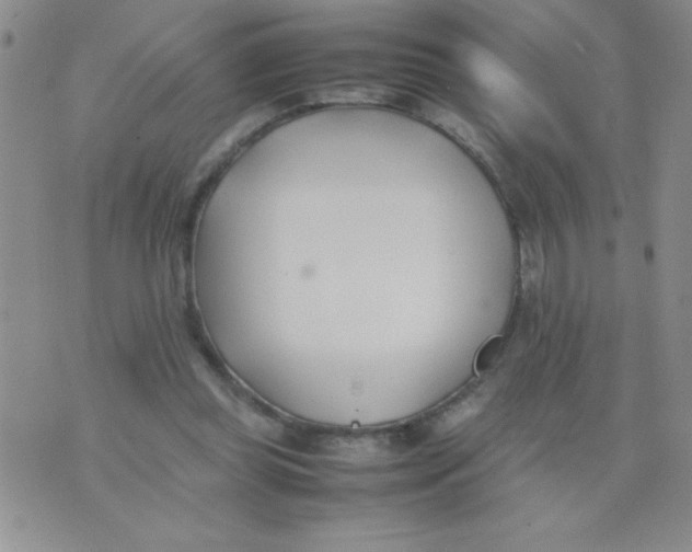 X0000074310349200609152012