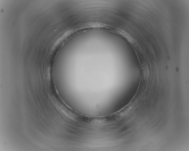 X0000074310350200609152012