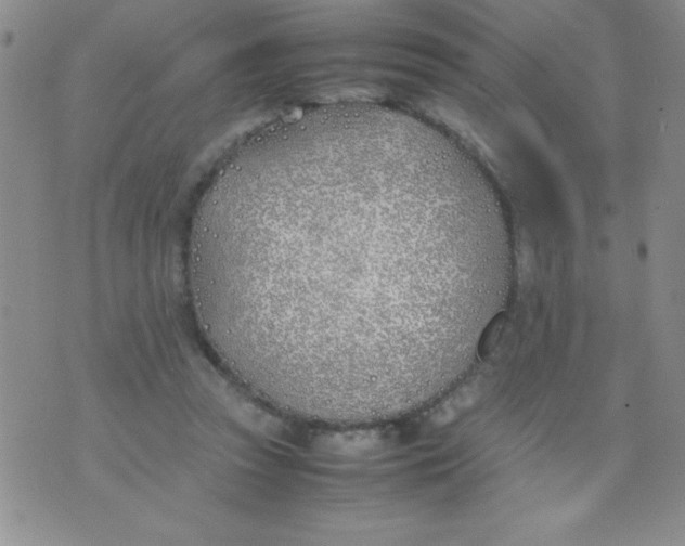 X0000074310353200609152012