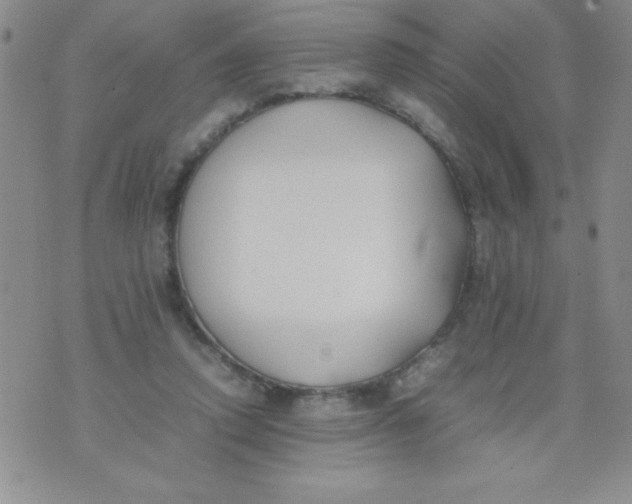 X0000074310354200609152012