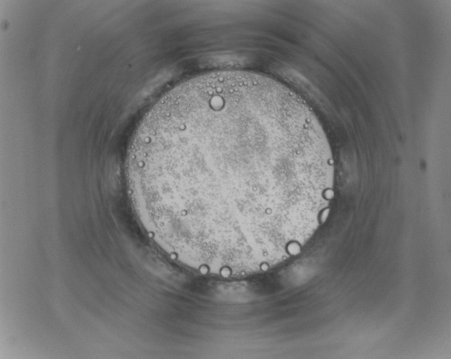 X0000074310355200609152012