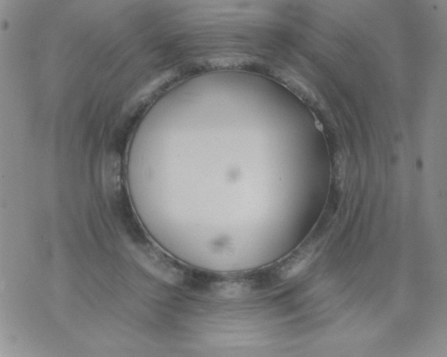 X0000074310356200609152012