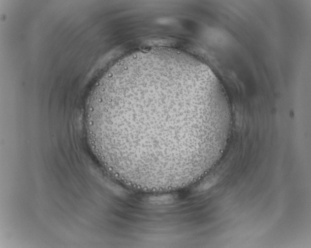 X0000074310357200609152012