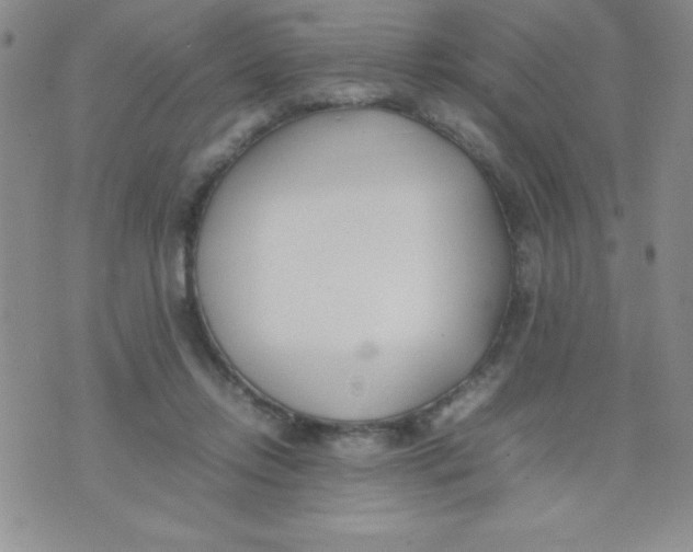 X0000074310358200609152012