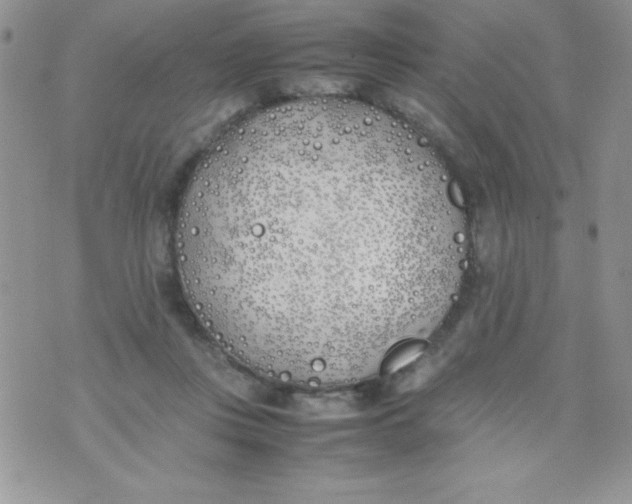 X0000074310359200609152012