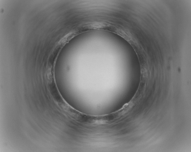 X0000074310360200609152012