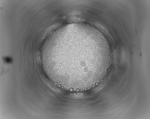 X0000074310361200609152012