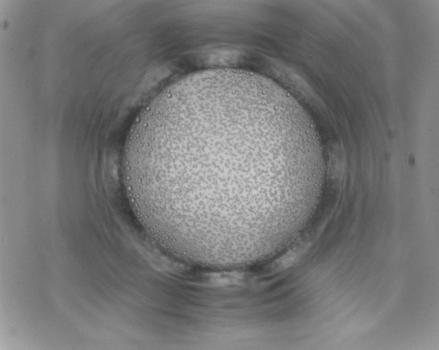 X0000074310363200609152013