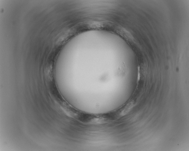 X0000074310364200609152013