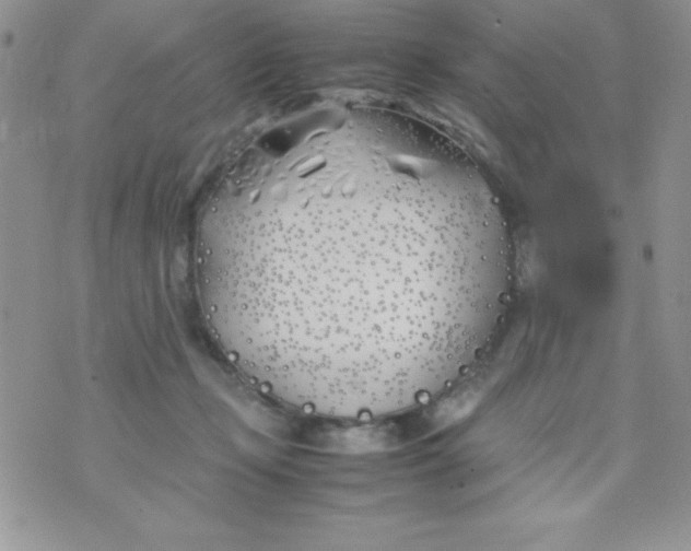 X0000074310365200609152013