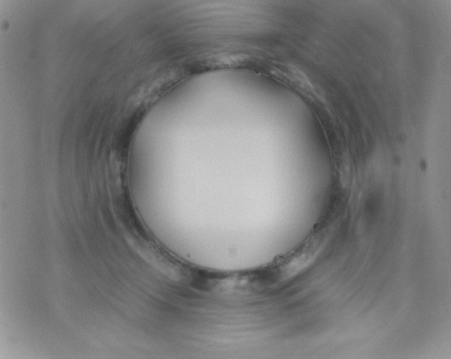 X0000074310366200609152013