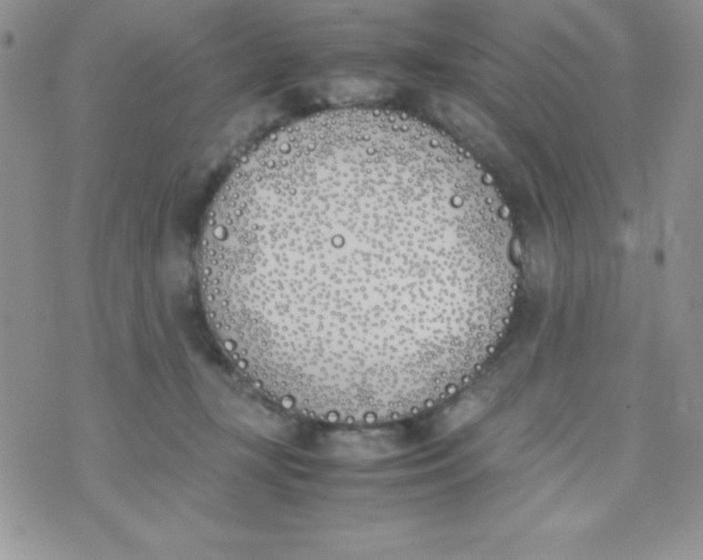 X0000074310367200609152013