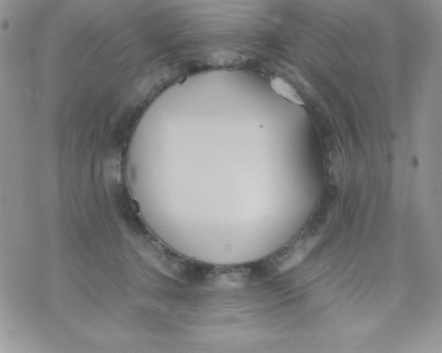 X0000074310368200609152013