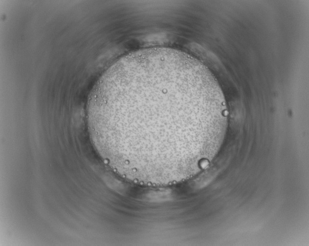 X0000074310369200609152013