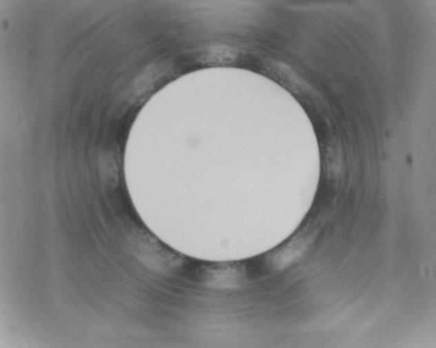 X0000074310370200609152013