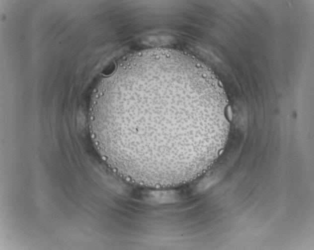 X0000074310371200609152013