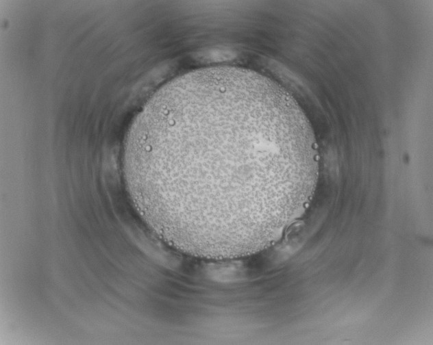 X0000074310373200609152013