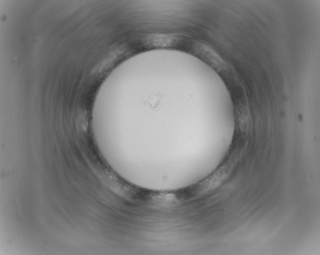 X0000074310374200609152013