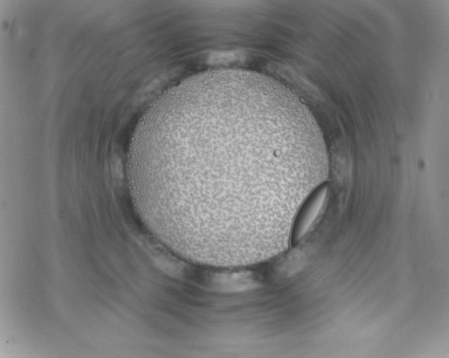 X0000074310375200609152013