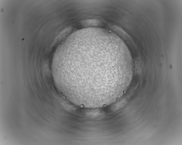 X0000074310377200609152013