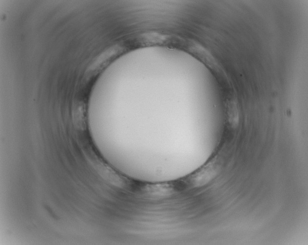 X0000074310378200609152013