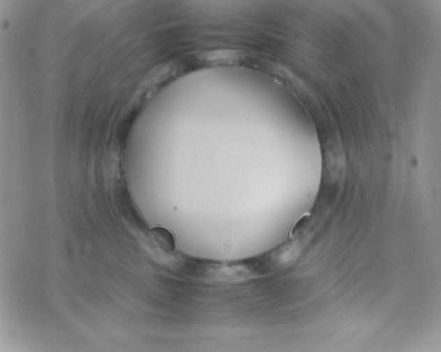 X0000074310379200609152013