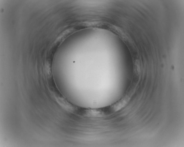 X0000074310380200609152013