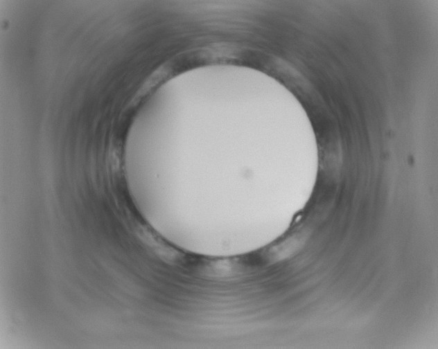 X0000074310382200609152013